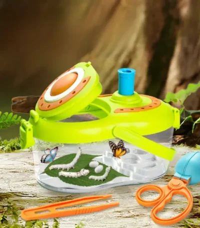 Interactive Butterfly Life Cycle Kit for Kids.