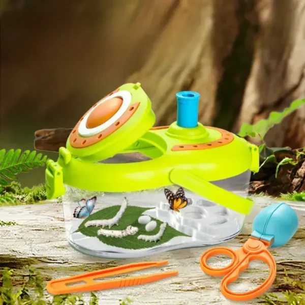 Interactive Butterfly Life Cycle Kit for Kids.