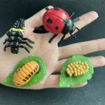 Life Cycle Figurines - Image 13