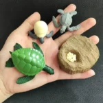 Set of educational toys featuring a green turtle, a gray dinosaur, and a small shell on a textured brown base, designed for children to learn about animals and nature.