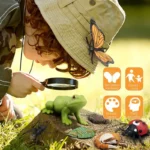 Magnifying glass examining a frog and insects outdoors, with educational icons for simulation modeling, parent-child learning, bright colors, and early education.