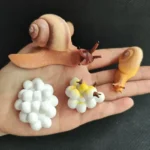 Hand holding a large snail figurine alongside molecular model toys, showcasing educational science decor and toys for learning about biology and chemistry.