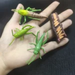 Colorful plastic insect and caterpillar toys for educational and decorative purposes.