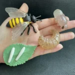 Detailed close-up of a bee, caterpillar, and larva models on a person's hand for educational purposes.