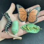 Educational insect and caterpillar toy set for kids, featuring a butterfly, caterpillar, and leaf with caterpillars, designed for learning about insects and nature.