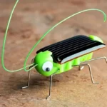 Solar-powered grasshopper toy with a black solar panel back, green body, googly eyes, and metal legs, designed as an educational science gadget.