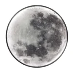 Moon surface model showing detailed craters and lunar features for educational and decorative purposes.