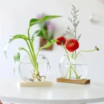 Two glass bowls with water containing a peace lily plant and a ranunculus flower, displayed on a white surface with a blurred background.