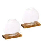 Glass fish bowls placed on wooden bases, ideal for science decor or educational displays. Transparent, round, and stylish, perfect for classroom or home science projects.
