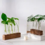 Set of two glass test tubes with green plants, mounted on wooden bases, showcasing educational science decor and plant growth experiments.