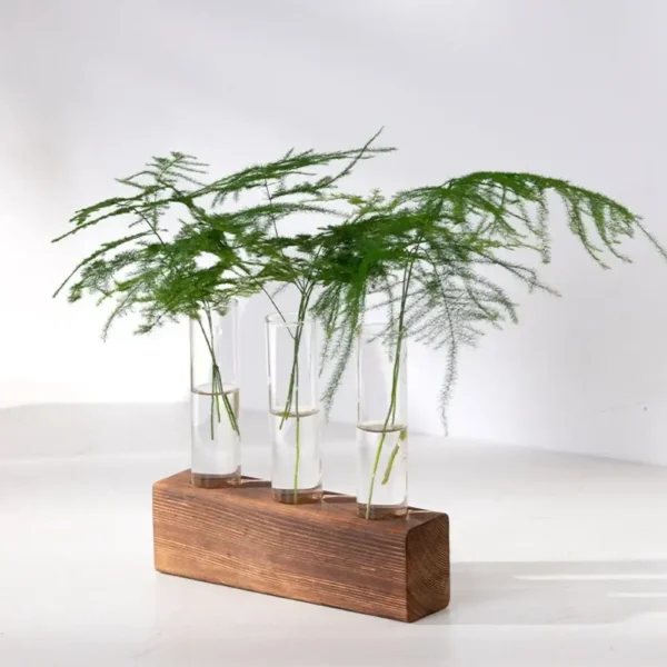 Elegant display of green fern leaves in three test tubes mounted on a wooden stand, showcasing botanical science and decorative plant arrangements.