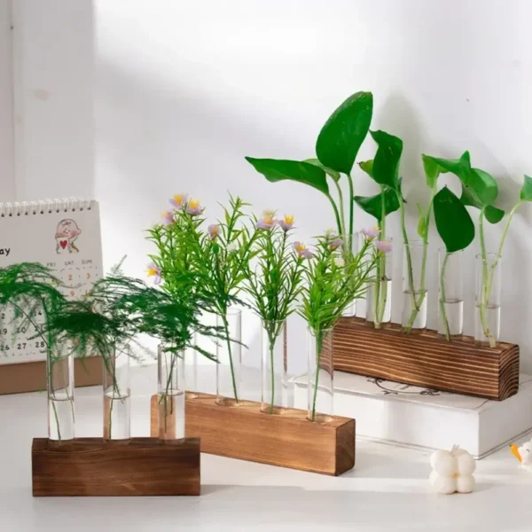 Educational plant growth display with glass test tubes on wooden bases, showcasing various small plants and seedlings for science learning and decoration.