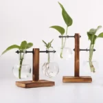 Educational plant propagation kit with glass containers and wooden stands for growing and studying plant roots and leaves.