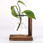 A clear glass bulb with green plant cuttings, mounted on a wooden stand for plant propagation experiments.