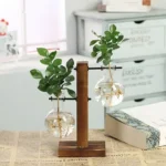 Small decorative plant in glass vase with roots visible, mounted on a wooden stand, placed on a table with a newspaper and a book nearby.