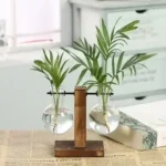Elegant indoor plant arrangement featuring two glass vases with lush green foliage, supported by a stylish wooden stand, perfect for home or office decor.
