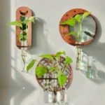 Eco-friendly wall-mounted plant display with glass test tubes for growing small plants or herbs, perfect for indoor gardening and educational science decor.