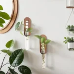 Innovative science decor with test tubes and plants, perfect for educational spaces and home science setups.