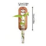 Wooden lightbulb-shaped plant holder with a small glass test tube containing a green plant, measuring 15cm in height and 5.2cm wide, ideal for educational and decorative purposes.