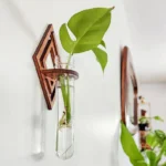 Green plant in a glass test tube mounted on a wooden wall holder, serving as a modern science-inspired home decor piece.