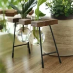 Modern plant terrarium with a glass bowl and wooden stand, perfect for educational science decor and small plant displays.