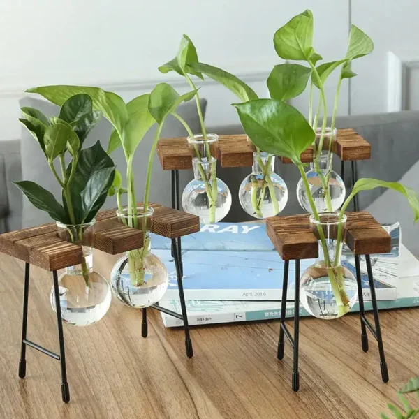 A close-up of a DIY plant growth experiment featuring glass vases with water and green leafy plants, supported by small wooden stands on a wooden table.