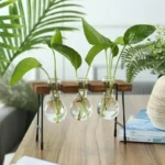 Elegant plant propagation station with three glass vials, wooden holder, and lush green plants for stylish home decor.
