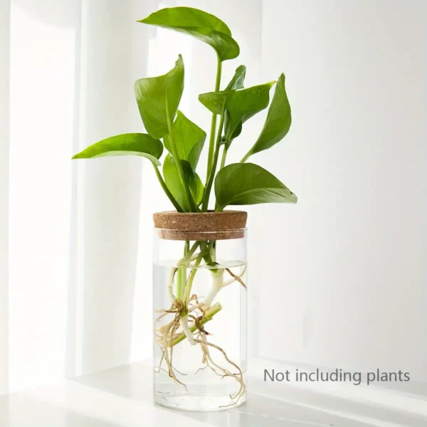 A transparent glass container with a leafy green plant growing in water, demonstrating plant development and root growth for educational purposes.