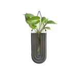 Modern plant wall hanging with a geometric metal frame and green leafy plant, ideal for home decor and educational science displays.