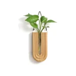 A modern wall-mounted plant holder featuring a wooden U-shaped frame with a glass tube for plant display, perfect for adding a touch of greenery to your science-inspired decor.