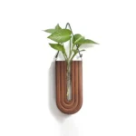 Modern wall-mounted plant holder with a U-shaped wooden frame and green leafy plant, ideal for home or office decor.