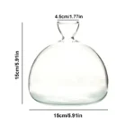 Clear glass laboratory flask with precise measurements, ideal for science experiments and educational demonstrations.