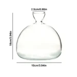 Elegant glass decanter with a narrow neck and wide, rounded base, measuring 10cm in height and 10cm in width, perfect for storing and serving beverages.