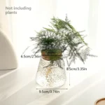 A small potted plant with delicate, feathery green foliage in a clear glass container, showcasing roots and soil.