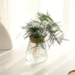 Small fern plant in a textured glass vase, perfect for science decor and educational display.