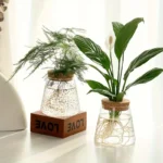Two glass vases with lush green plants, including a peace lily and fern, placed on a white surface with decorative "LOVE" blocks, creating a fresh and modern indoor plant display.