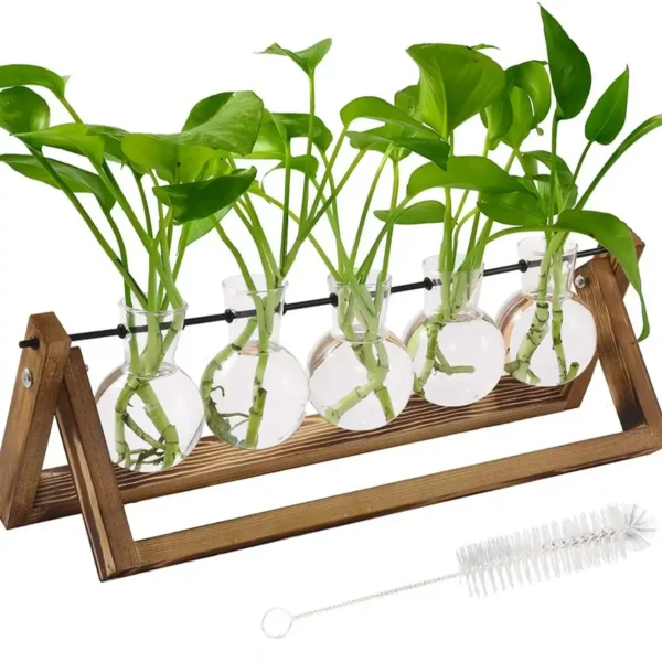 Educational plant growth experiment kit with five test tubes, green plants, and a wooden stand, ideal for science learning and classroom activities.