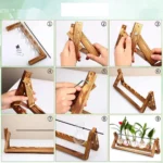 Educational DIY greenhouse model for science experiments and classroom displays.