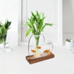 Green plant in a glass fishbowl with three goldfish, placed on a wooden base, on a white surface with a white background.