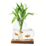A green plant growing in a fishbowl with three goldfish swimming around it, placed on a wooden base.