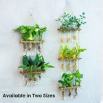 Eco-friendly hanging plant holders with natural jute ropes and wooden shelves.