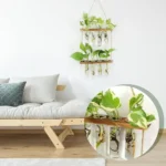 Innovative wall decor featuring a vertical garden with test tubes and green plants, perfect for science-themed rooms or educational spaces.
