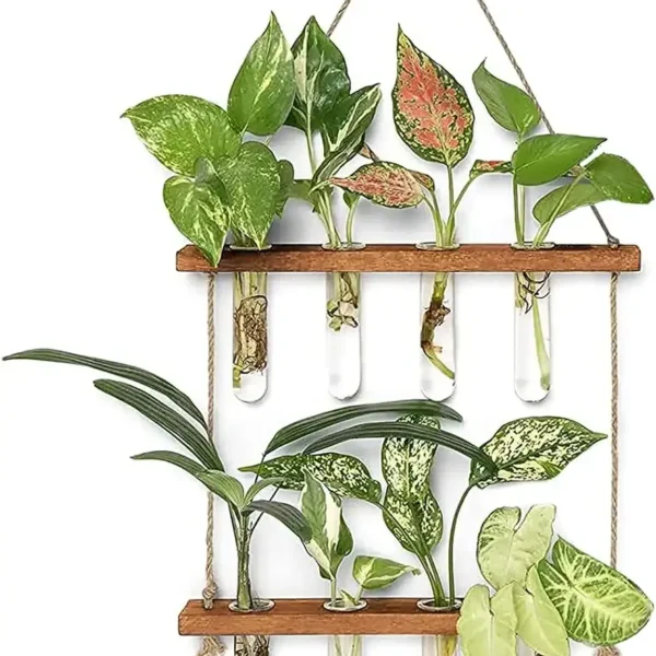 Decorative plant wall with test tubes for growing small plants and succulents.