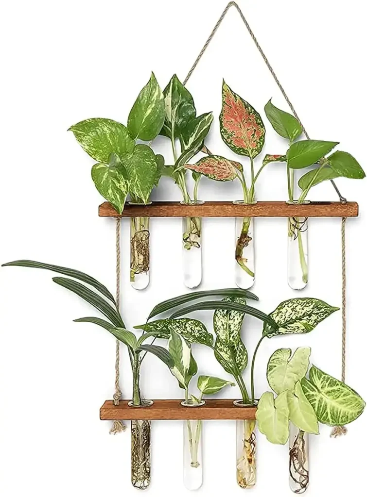 Decorative plant wall with test tubes for growing small plants and succulents.