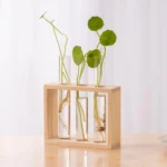 Vase with water plants in test tubes, modern science-inspired decor piece.