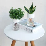 Two potted houseplants in clear water-filled glass containers placed on a white round table, with a book underneath. Modern decor with a natural, fresh aesthetic.