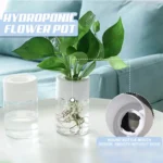 Hydroponic flower pot with transparent water container and green plant, showcasing a modern hydroponic gardening system for educational and decorative purposes.