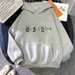 Sweat à capuche gris avec formule mathématique gravée, idéal pour les amateurs de science et de décoration geek.