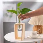 A hand placing a green plant in a test tube filled with water, supported by a wooden stand on a white table, with a cup and lamp in the background.