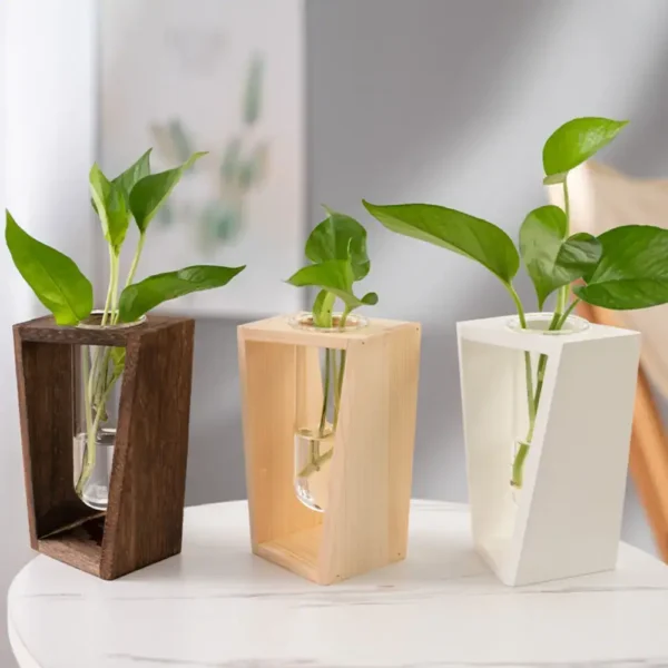 Modern green plant in wooden and white geometric vases, perfect for science-themed decor and educational displays.